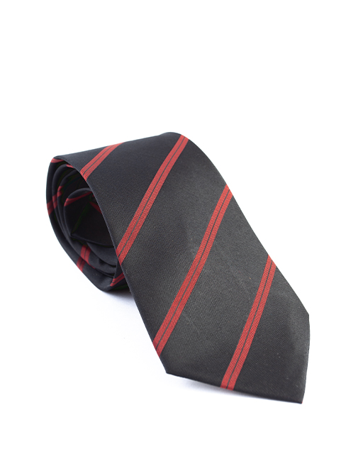 Photo 1 of 1 - Classic Stripes Necktie (10Pcs) - Formal Business Wedding Party Neckwear Accessory | Jackline Metropolitan Co Pvt Ltd.,