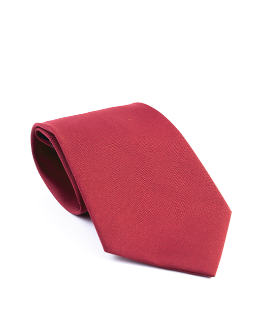 Photo 1 of 1 - School Plain Neckties - Premium Quality Neckties | Jackline Metropolitan Co Pvt Ltd.,
